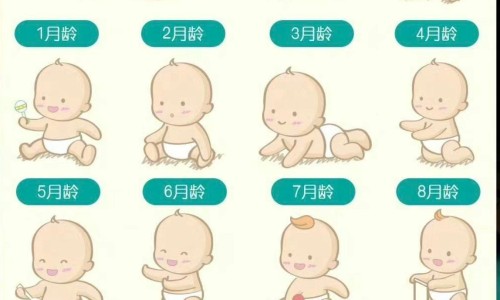【四季草颗粒哪里能买到】四季草颗粒哪里能买到 - 四季草颗粒哪里有卖网